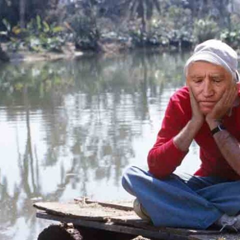 Federal reserve study sinks biden's claim on climate risks to banks - photo licensed by shore news network.