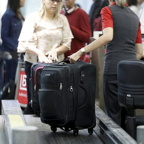 Woman who packed her dead mother in a suitcase arrested at o'hare international airport - photo licensed by shore news network.