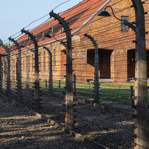 Best friends separated while fleeing nazis reunited 82 years later - photo licensed by shore news network.