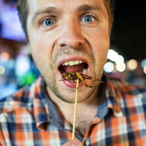 Wapo says americans should consider adding crickets to thanksgiving dinner, ditching turkey for lab-grown meat - photo licensed by shore news network.