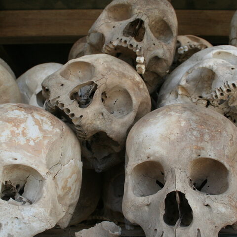 Wikipedia moderators are debating removing an article about communist mass killings for ‘bias’ - photo licensed by shore news network.