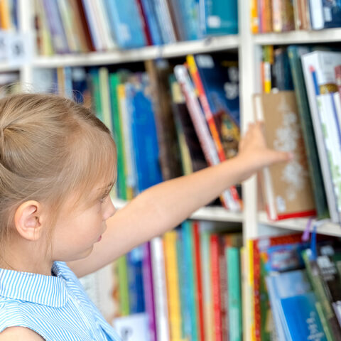 Here’s what’s in the ‘obscene’ books being removed from schools across the country - photo licensed by shore news network.