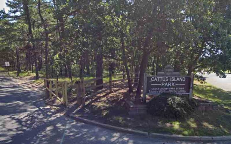 Storms, rain, and flooding devastate this toms river nature trail - photo licensed by shore news network.