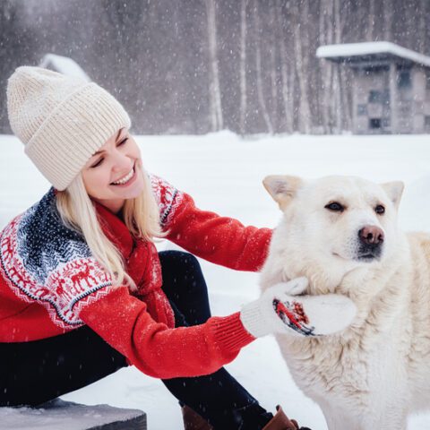 7 holiday gift ideas for pets - photo licensed by shore news network.