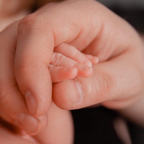 Boy sets record for most premature baby to survive - photo licensed by shore news network.