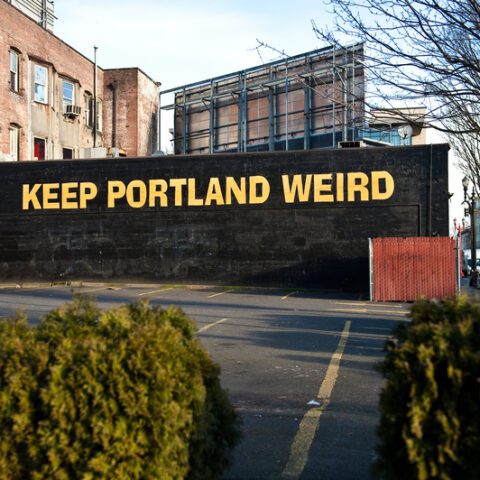 ‘people died’: democratic congressman says it hit 180 degrees in portland this summer due to climate change - photo licensed by shore news network.