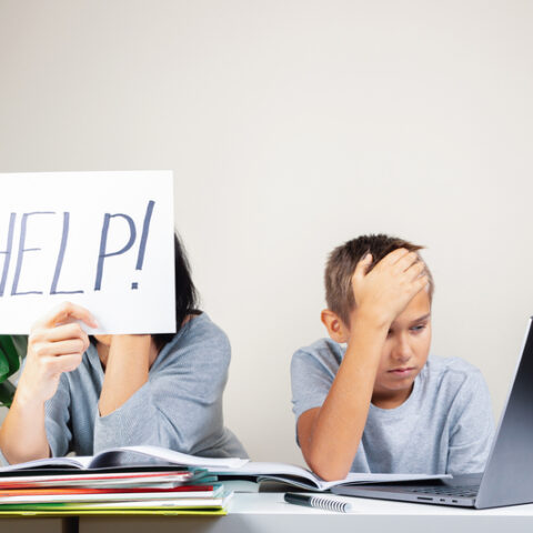 Schepisi calls for new jersey to investigate learning loss from lockdown remote learning - photo licensed by shore news network.