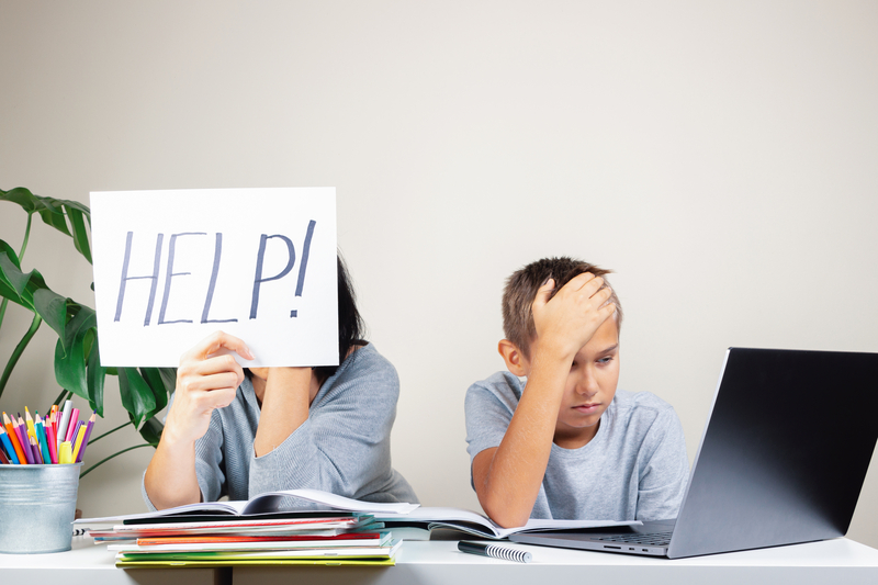 Schepisi calls for New Jersey to investigate learning loss from lockdown remote learning