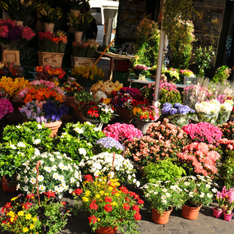 Washington florist who declined to arrange flowers for same-sex wedding settles lengthy lawsuit - photo licensed by shore news network.