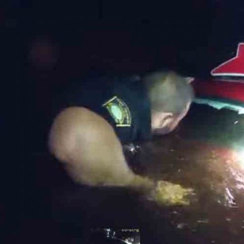 Watch: police jump into canal to save woman from sinking car - photo licensed by shore news network.