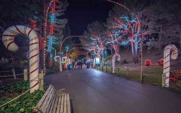 Celebrate the holidays at Six Flags Discovery Kingdom