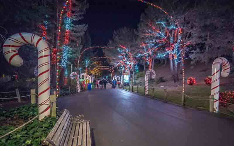 Celebrate the holidays at Six Flags Discovery Kingdom