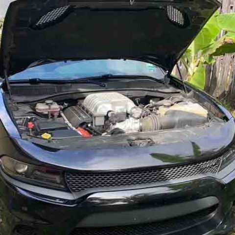 Off duty deputy suspicious after seeing what was under the hood in the neighborhood - photo licensed by shore news network.