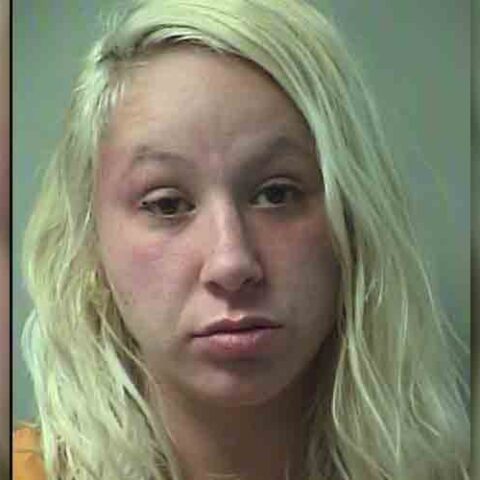 Impaired mom charged after passing out at restaurant holding baby - photo licensed by shore news network.