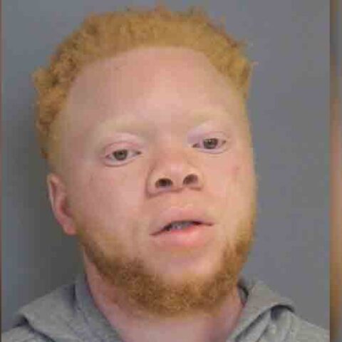 Suspect charged for stolen gun - photo licensed by shore news network.