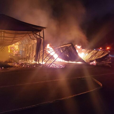 Fire destroys two buildings at plant city farm & flea market - photo licensed by shore news network.