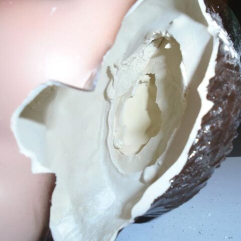 Customs officers find fentanyl hidden inside dolls in louisville - photo licensed by shore news network.