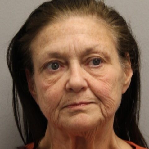 Harrington woman charged with sixth dui after weekend crash - photo licensed by shore news network.