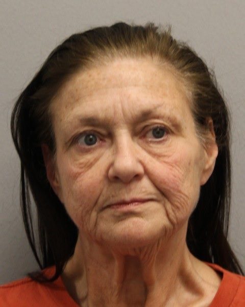 Harrington woman charged with sixth DUI after weekend crash