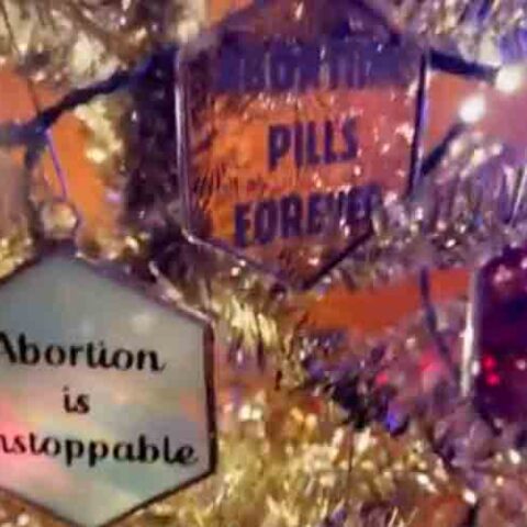 Check out the left's latest holiday celebration... The abortion tree - photo licensed by shore news network.