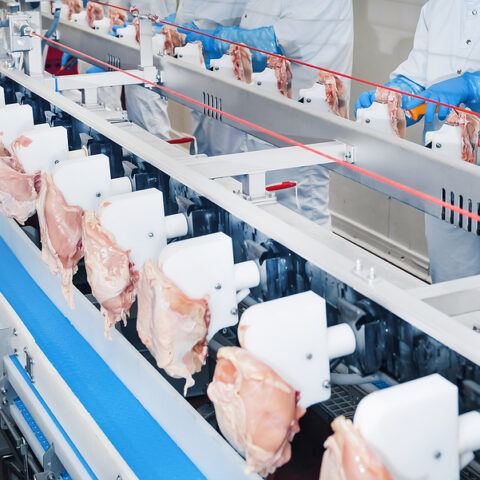 Wholesale producer price index grows the fastest it ever has - photo licensed by shore news network.