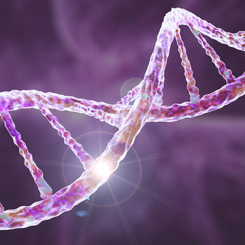 Dna evidence ties westchester man to 1999 murder of 13-year-old bronx girl - photo licensed by shore news network.