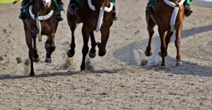 Elmont man sentenced for killing ex at belmont racetrack