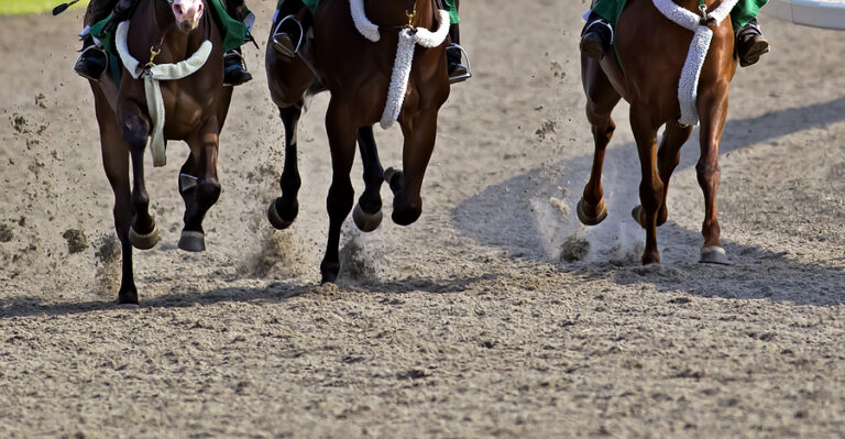 Kentucky derby winner medina spirit dead after track workout - photo licensed by shore news network.