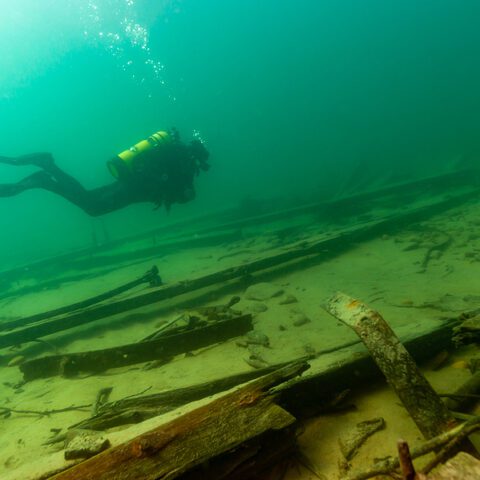 Archaeologists uncover ancient shipwrecks, find hundreds of silver coins from almost 2,000 years ago - photo licensed by shore news network.