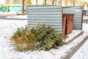 Here's where you can bring your christmas tree for disposal in ocean county