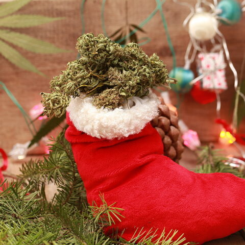 Americans will smoke more weed during the holidays to relieve holiday stress report finds - photo licensed by shore news network.