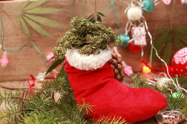 Americans will smoke more weed during the holidays to relieve holiday stress report finds
