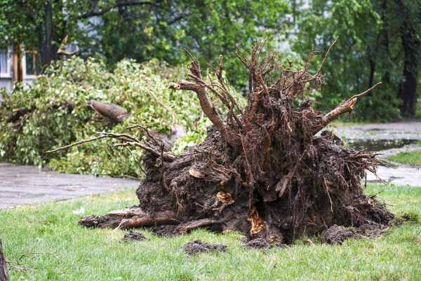 Chain Of Tornadoes Rips Through Iowa, Kills Seven People