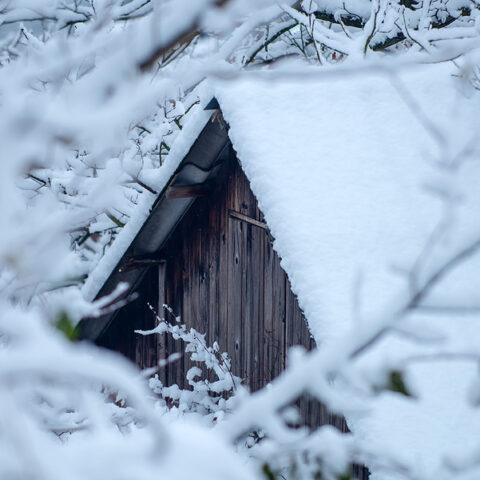Highest points in california and nevada could get 8 feet of snow from multiday storm, ‘atmospheric river’ - photo licensed by shore news network.