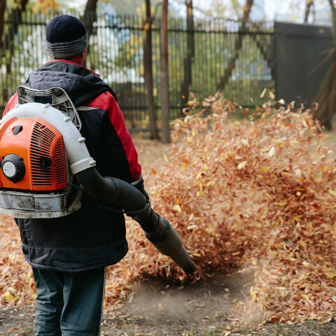 New jersey progressive democrat wants to ban gas-powered leaf blowers, fine you $1,000 per offense - photo licensed by shore news network.
