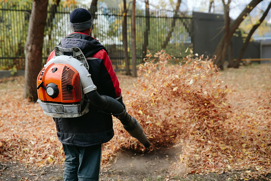 New Jersey progressive Democrat wants to ban gas-powered leaf blowers, fine you $1,000 per offense