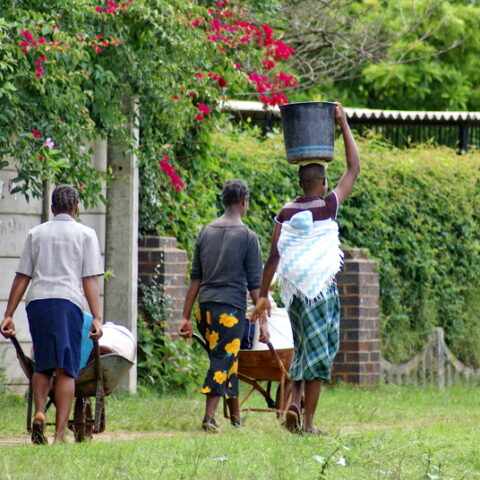With omicron in 57 countries, white house says south african travel ban not racist - photo licensed by shore news network.