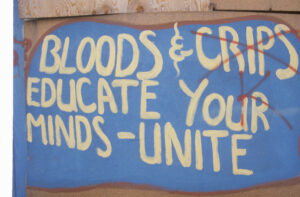 Bloods gang members plead guilty to racketeering