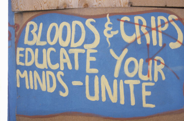 Bloods Gang Members Plead Guilty to Racketeering
