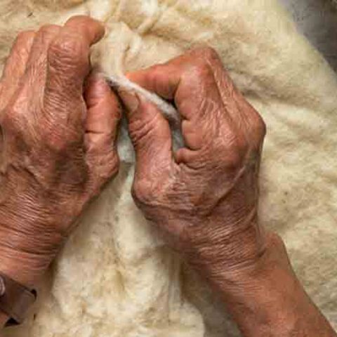 73-year-old middletown woman charged for shooting death of her 73-year-old husband - photo licensed by shore news network.