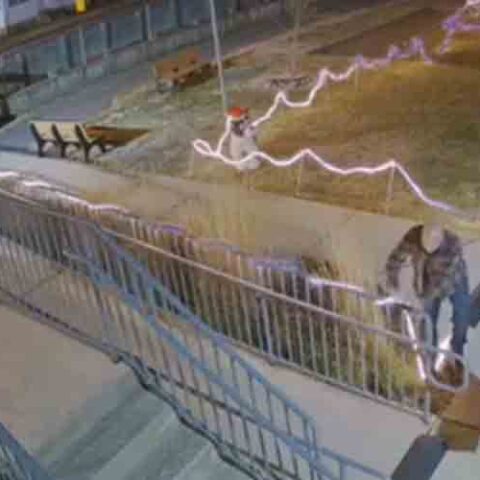 Shore police department looking for grinch couple who damaged youth center christmas display - photo licensed by shore news network.