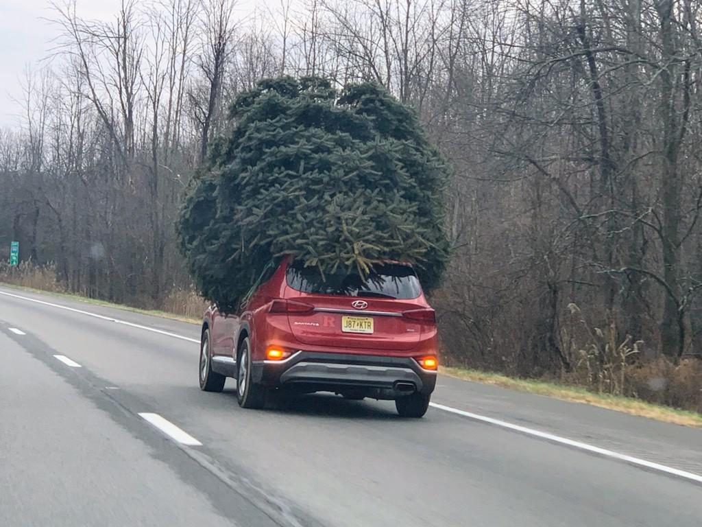 Christmas Idiot? New Jersey's version of Clark Griswold goes viral