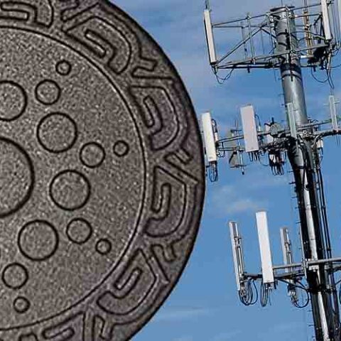 Conspiracy theorists worried about 5g are wearing necklaces that could damage dna, nuclear experts warn - photo licensed by shore news network.