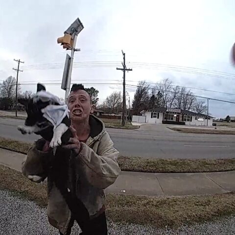 Woman charged for abuse of puppy, kicking and dragging it, police charge - photo licensed by shore news network.