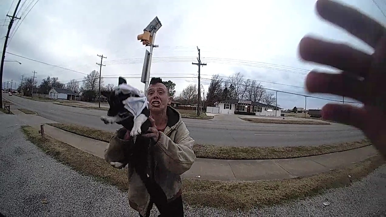 Woman charged for abuse of puppy, kicking and dragging it, police charge
