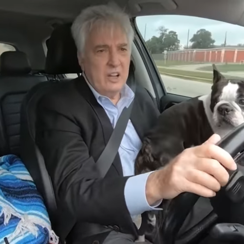 Boston terrier stolen from his owner on christmas has miracle reunion - photo licensed by shore news network.