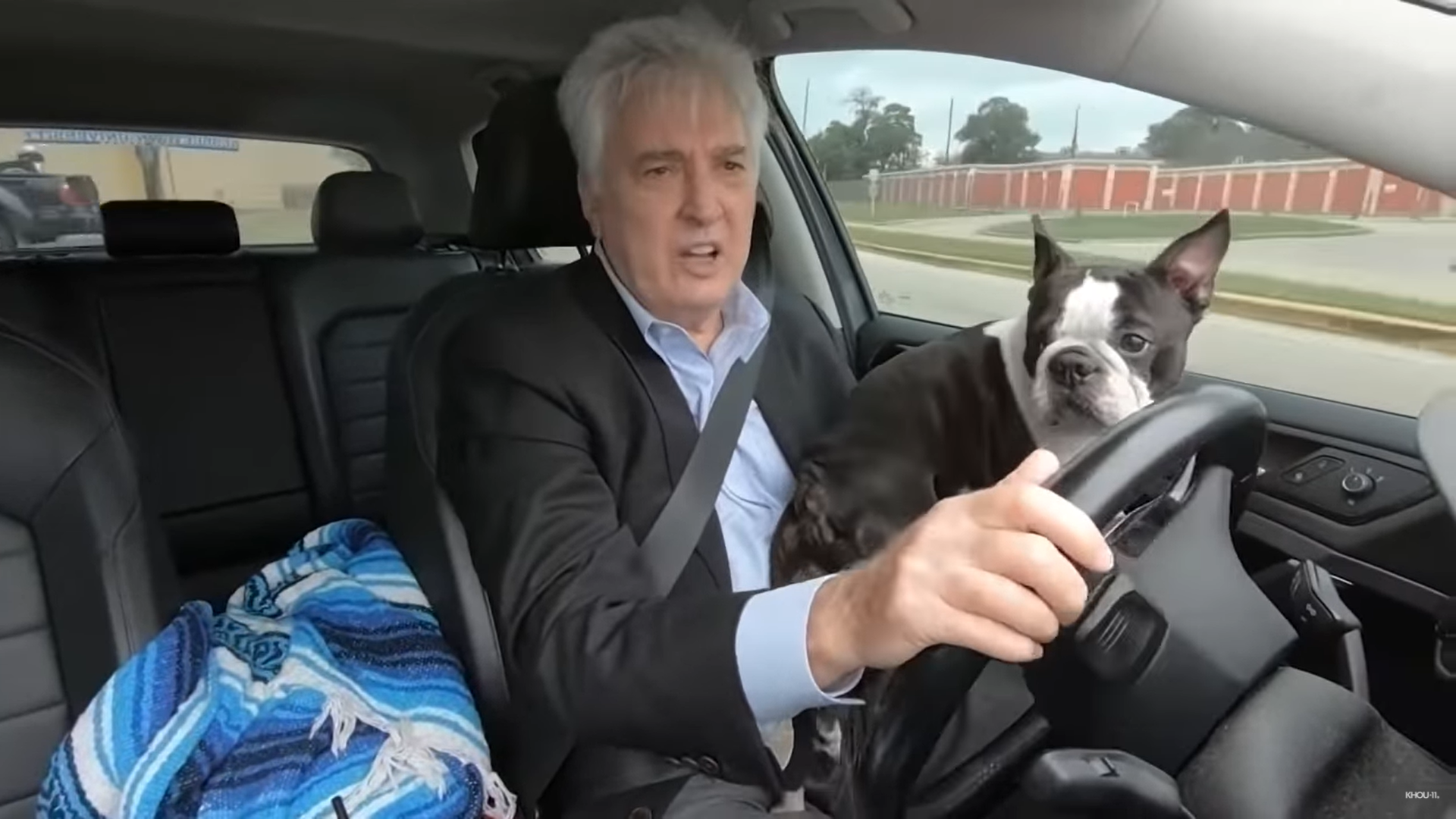 Boston Terrier Stolen From His Owner on Christmas has Miracle Reunion
