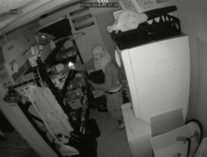 Suspect apprehended for burglary of port charlotte business