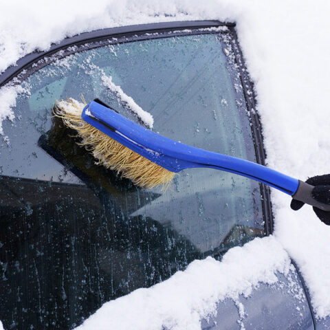 A message from berkeley mayor amato ahead of anticipated weekend snowstorm - photo licensed by shore news network.