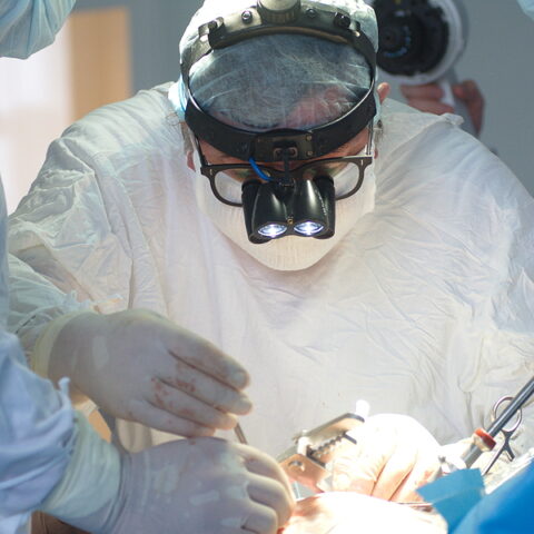 Surgeons give 57-year-old man a functioning pig heart in historic procedure - photo licensed by shore news network.